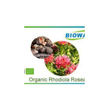 Organic Rhodiola Rosea