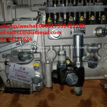 High quality Diesel LONGBENG fuel injection pump BH6PA110 for sale