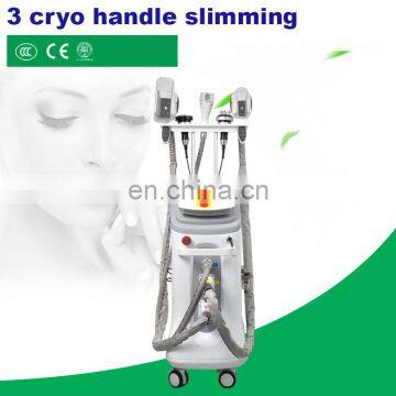 5 Handles Double Chin Fat Freezing Body Contoring Machine Cellulite Device photo-3