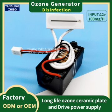 12V-100mg Ozone generator 37*15mm ozone plate Air purification and disinfection