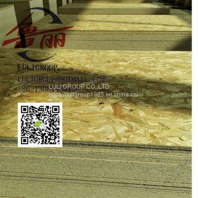 Luligroup Osb5 photo-3