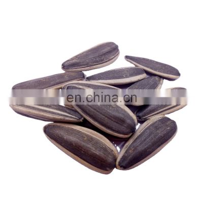 specification of sunflower seeds large-size-sunflower-seeds unhulted sunflower seed