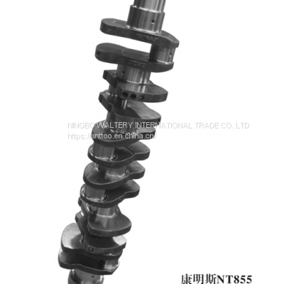 Crankshaft for 3608833 Cummins NT855