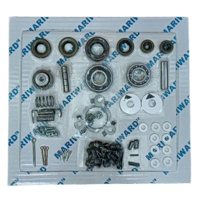 UG-8D/UG-10D Governor overhaul kits suit for WOODWARD