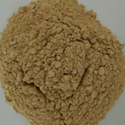 Ammonia Nitrogen Degrading Bacteria