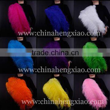 Wholesale Cheap 24-26inch Color Ostrich Feathers Wedding Decor for Sale