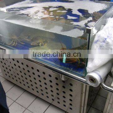 APEX Supermarket Large Commercial Glass Fish Tank photo-6