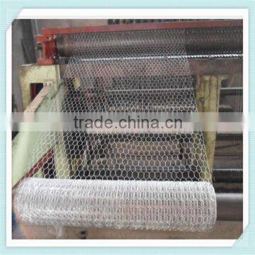 PVC coated green color Chicken Wire Mesh