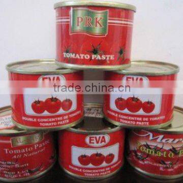 210g Canned Tomato Paste with gino quality and competitive price