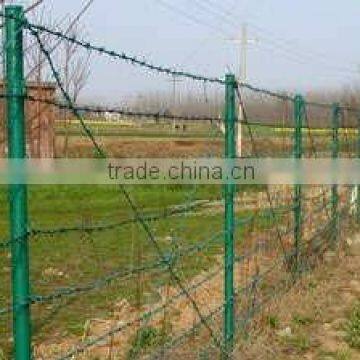 fencing wire mesh - barbed wire