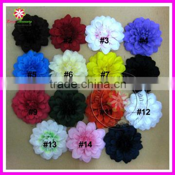 Dahlia hair flower head