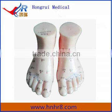 High Quality 13cm Human Acupuncture Foot Model