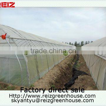 15 Years Warranty 100% Bayer Reinforced Cheap Plastic Agriculture Single Span Tunnel Greenhouse Quality Choice Most Popular photo-4