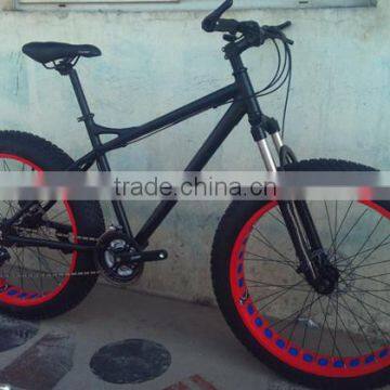 21 speed steel fat bike