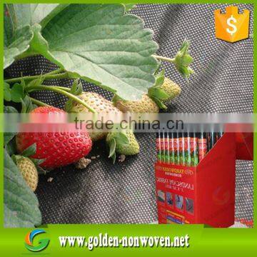 non-woven pp Anti-bacterial Recyclable Weed Barrier Fabric / Anti Weed Mat