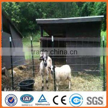 Professional manufacturer aupplies sheep/cattle fence using T post with high quality