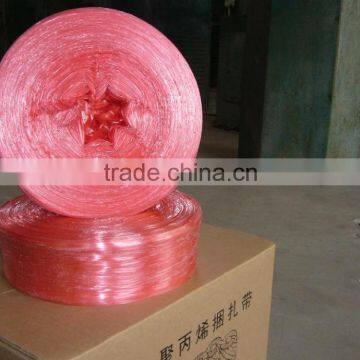 High Quality PP Tape photo-6