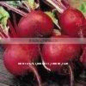 Red Beet Powder