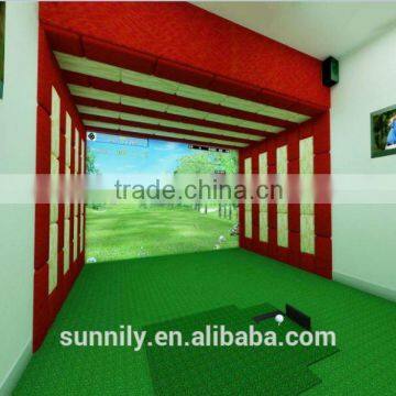 3d Golf Simulator photo-2