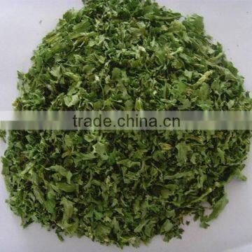 2015 New Crop Dried Parsley