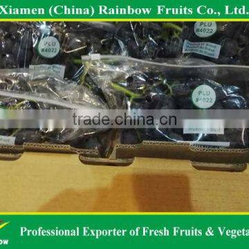 Yunnan Black Grape for hot sell with top quality