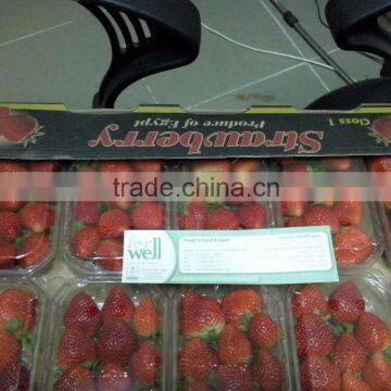 Fresh Strawberry