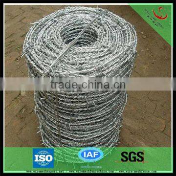 galvanized barbed wire products (direct factory)