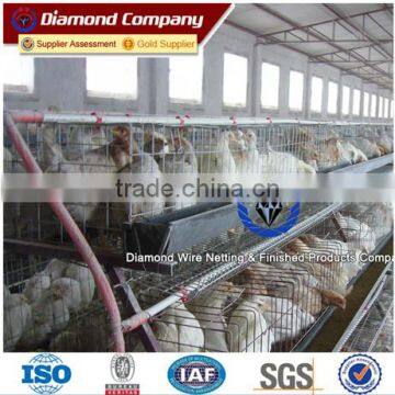 Electro Galvanized Metal Hen Coop for Africa Farmer