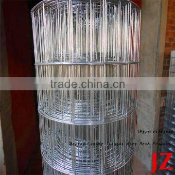 welded wire mesh ,welded mesh panels and galvanized welded wire Mesh( 15 Years Factory )