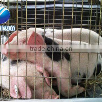 pig cage, pig wire netting cage (factory)