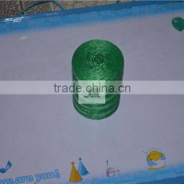 Pp Yarn Extruder Line Flat Extruding Split Film Making Machine photo-3