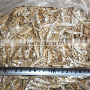 Pet food sun dried fish ,dried stockfish