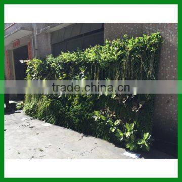 FO-GW018 Outdoor Green Plant Wall for Decor