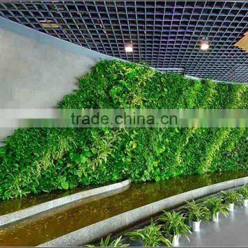 Green plants wall artificial