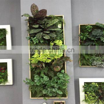 Lobby Decoration Wall Landscaping Artificial Plant Wall Indoor Plant Wall photo-4
