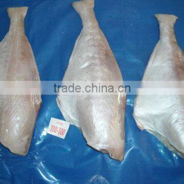 Frozen Leather Jacket Fish Whole Round photo-4