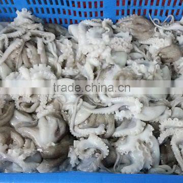 Frozen Baby Octopus in Ball Shape photo-2