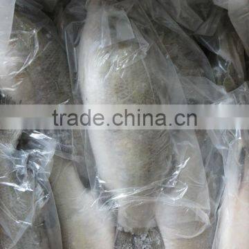 import seafood of Asian Sea Bass