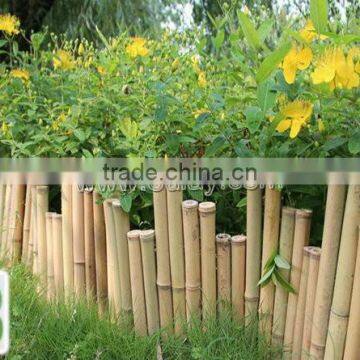 bamboo edging for small garden