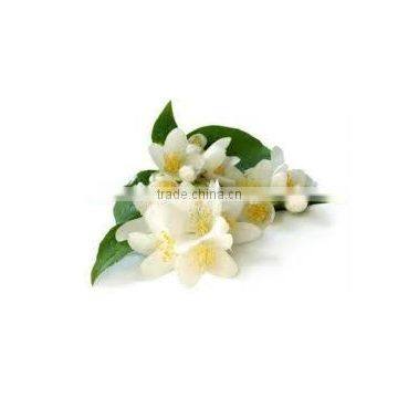 jasmine oil