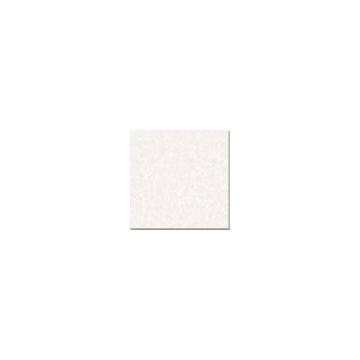 Polished Tiles
