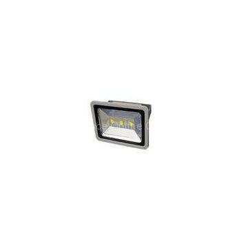 230 Volt Outdoor IP65 Waterproof LED Flood Light , Compact 150W 90LM~100LM/W Street Decorative Light