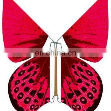 special fly butterfly