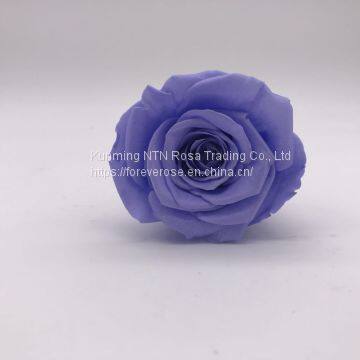 Preserved Flowers for Party Decoration photo-4