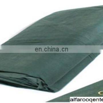 Canvas Tarpaulin