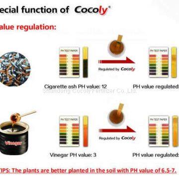 Lowest Price Agriculture Cocoly NPK 15-3-5 100% Water Soluble Fertilizer photo-5