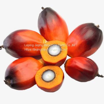 Oil Bleaching food grade MSDS Activated Bleaching Earth Price for Refining Palm Oil free sample