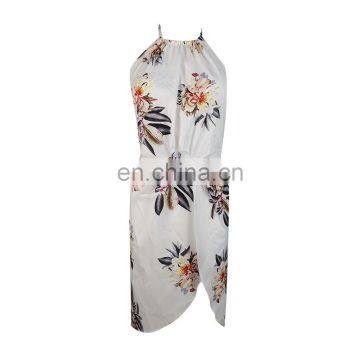 2020 Summer Burst Dress New Style Printed Sleeveless Sexy Hanging Neck Beach Skirt Women's Factory Direct Sales photo-6