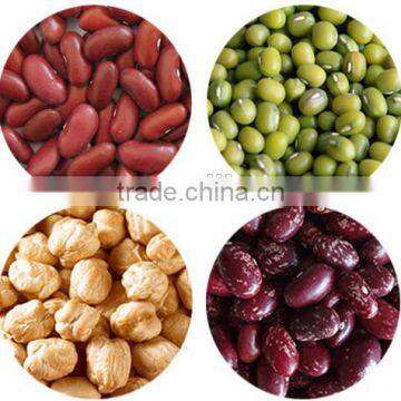 200-220 Pcs/100g Chinese Dark Red Kidney Bean Prices