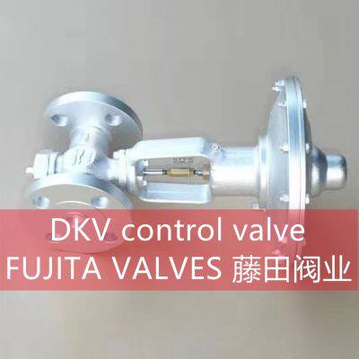 DKV FUJITA VLAVES